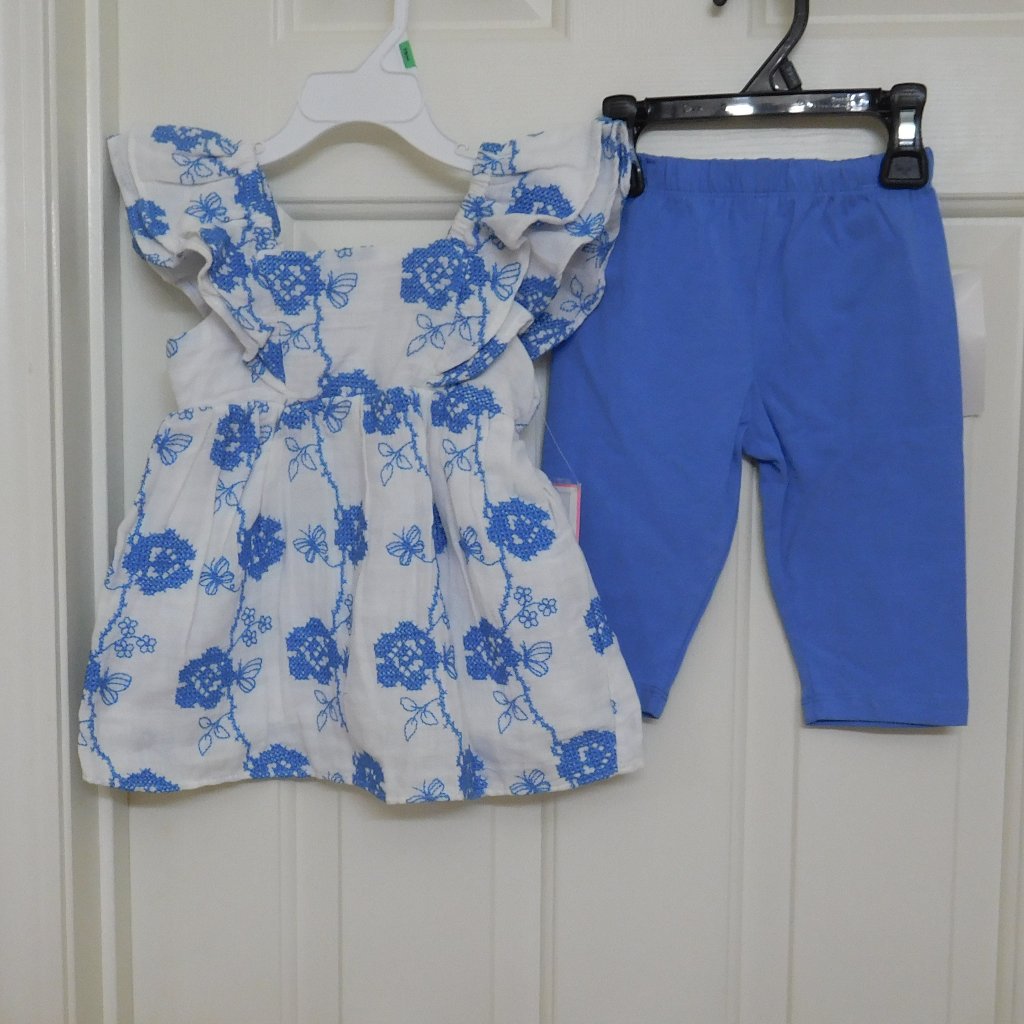 Nwt 2pc Rare Editions Blue Embroidered Flowers Top & Leggings Set 18 Months
